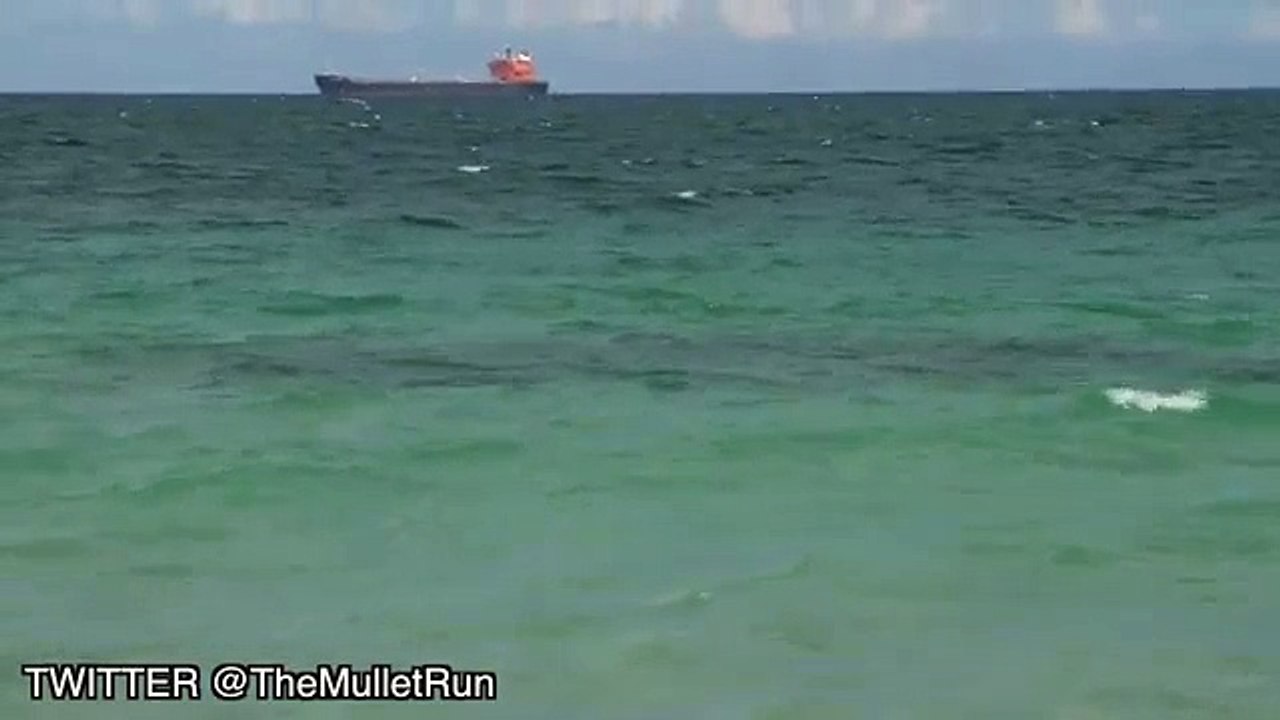 Dark Shape Near Beach - Mysterious Creatures