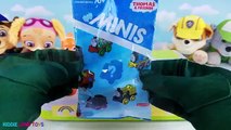 Paw Patrol Pop Up Pals Pups Popping Toy Surprises Learn Colors Mashems & Blind Bags