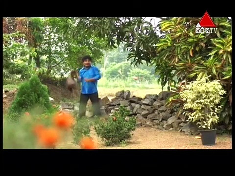 Pehasara Sirasa TV 07th March 2017