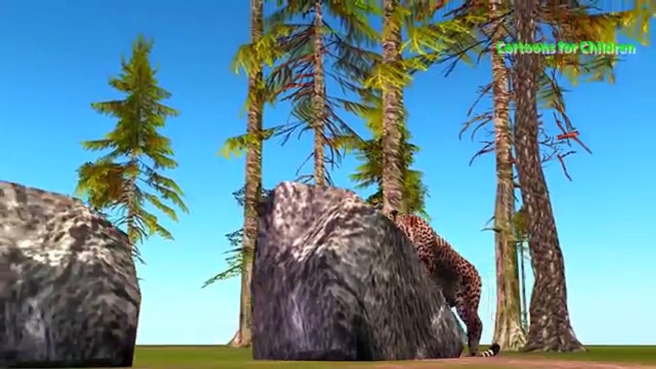 Chita Vs Jabalí De Animales Salvajes Peleas De _ Cheetah Gone Wild _ De Dibujos Animados De Animales De Lucha Videos