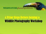 wildlife photography course- wildlife photography workshops
