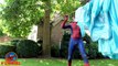 FROZEN Elsa WATER BALLOONS! Spiderman Bad Joker Dad! w/ Elsa Spiderman Prank! Funny Superh