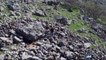 Israël : un mystérieux dolmen vieux de plus de 4000 ans découvert en Galilée