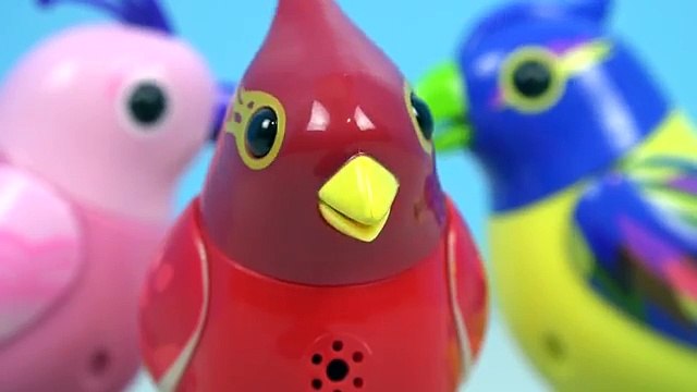 DigiBirds Singing Bird Toys | Kinder Playtime Toy Spotlight