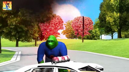 Top Animals Cartoons Finger Family Collection | Animals Finger Family Rhymes for Children