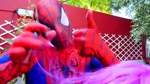 Spiderman vs Congelado Elsa Spiderman Elsa Cortes de Pelo Divertida Película de Superhéroes en la Vida Real