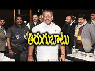 OPS has a chance to win,5 Reasons why - Oneindia Telugu