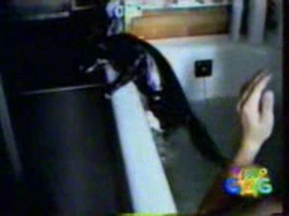 video gag
