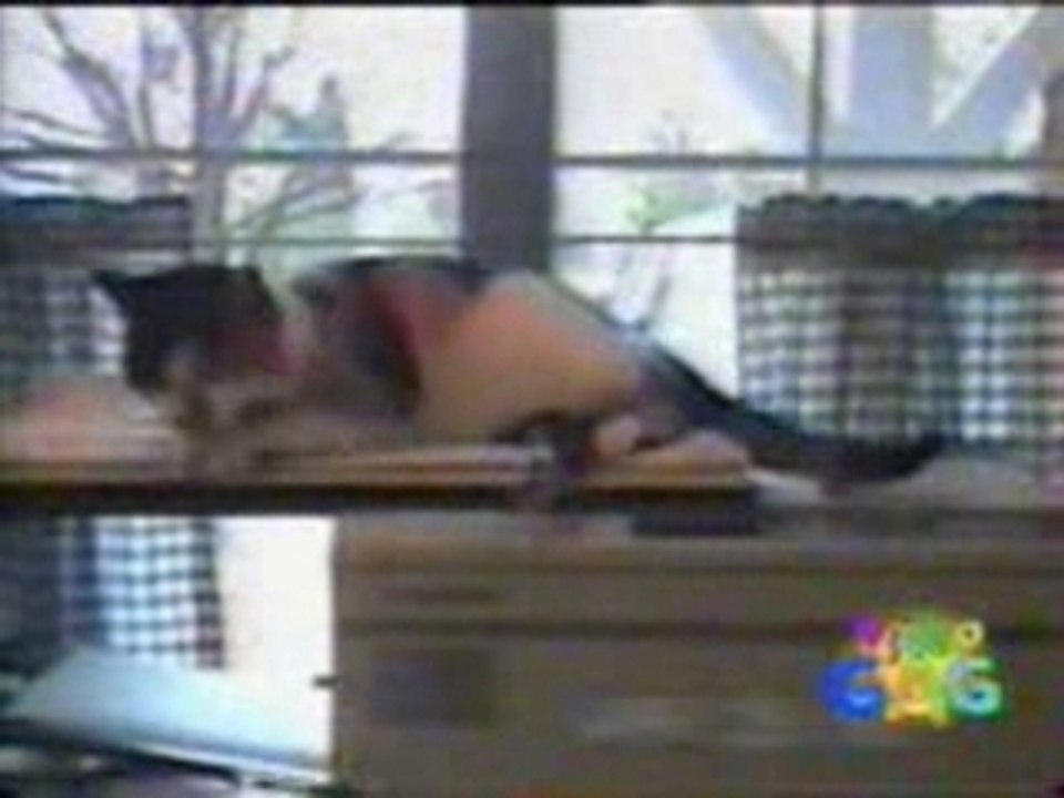 video gag