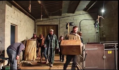 Chronique d'un élevage ovin moderne — épisode 2 : la tonte