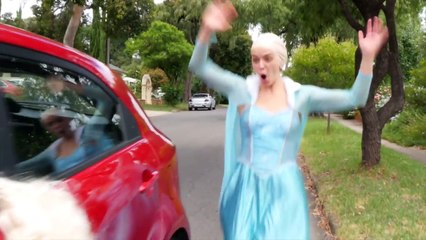 FROZEN ELSA HAIR STUCK IN CAR! w/ Reckless Spiderman vs Joker Anna Baby Hulk - Superhero F