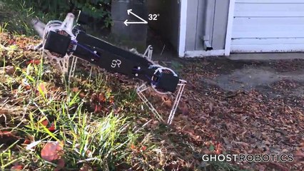 Le robot minitaur de Ghost Robotics