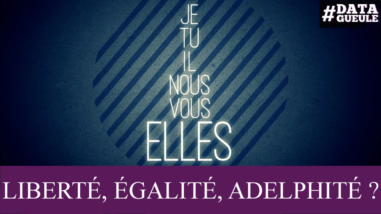 Inégalité des sexes : « Liberté, Égalité, Adelphité » #DATAGUEULE 71