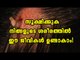Most Horrifying Things Found Living Inside People - Oneindia Malayalam