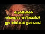 Most Horrifying Things Found Living Inside People - Oneindia Malayalam