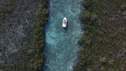 Saison 1 #14 - Pêche à la mouche et îlots confidentiels - Bahamazing Experiences