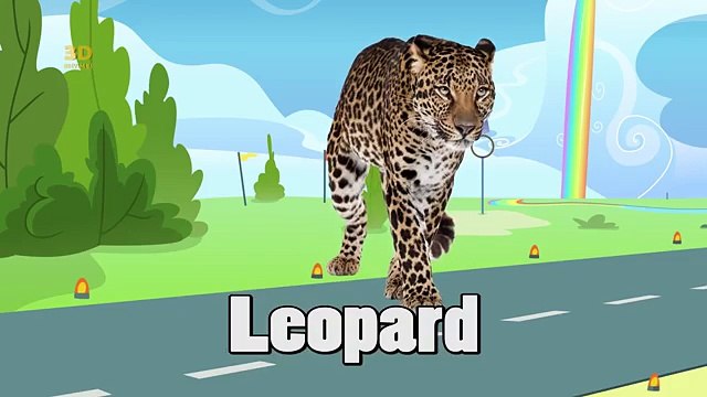 Surprise Eggs Wildlife Toys | Learn Wild Animals & Animal Sounds | ChuChu TV Surprise For