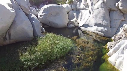 Scuba Diving in Cabo Pulmo