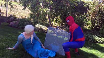 Vampire Elsa Bites Spiderman Halloween Special Elsa and Spiderman Superhero Kids Video In