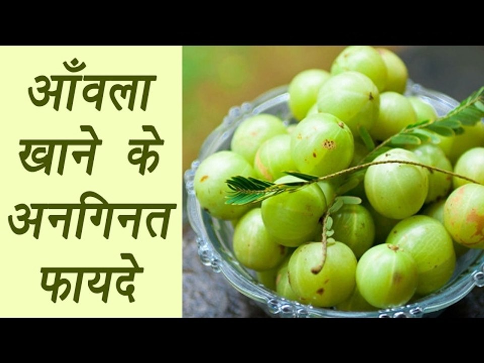 Health Benefits of eating Amla |आँवला खाने के अनगिनत फायदे  | Boldsky