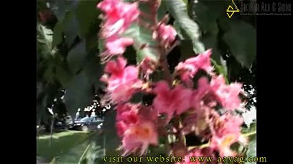 RCM SPA ALFA STREET SWEEPER