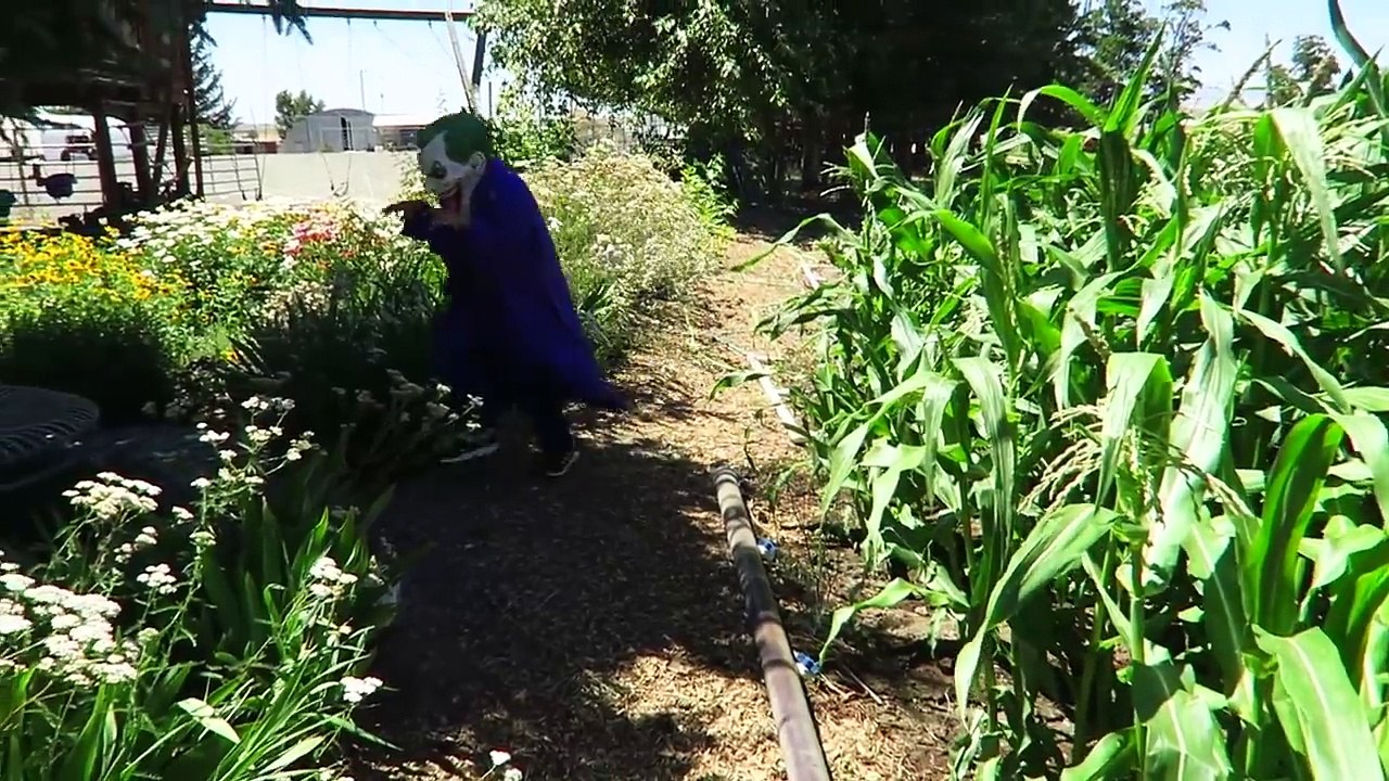 Frozen Elsa & Spiderman + Bad BABY JOKER Kidnapped Prank Supergirl, Spidergirl Funny Superhero Video