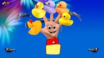 Finger Family Duck - Family Nursery Rhyme - Duck Finger Family Songs - Family Finger Duck - HD