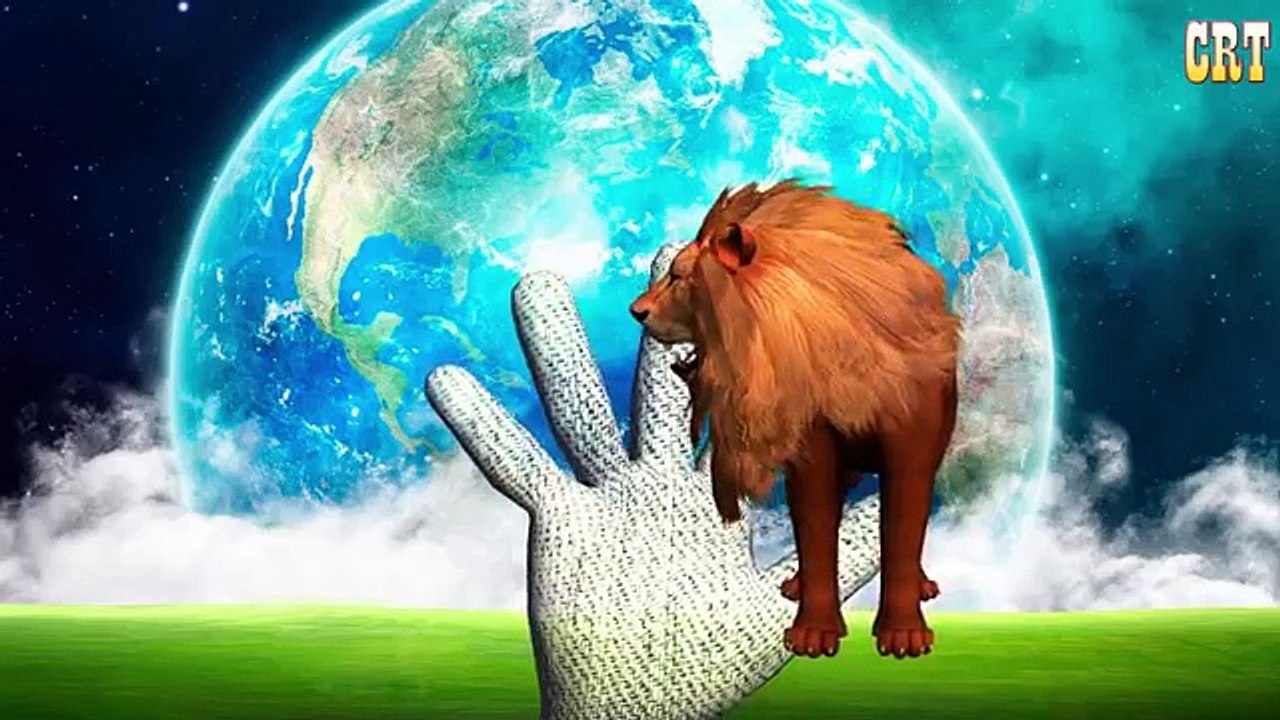 Horse Vs Bear & Gorilla Nursery Rhymes Songs With Lyrics | Children Rhymes Tv Collection