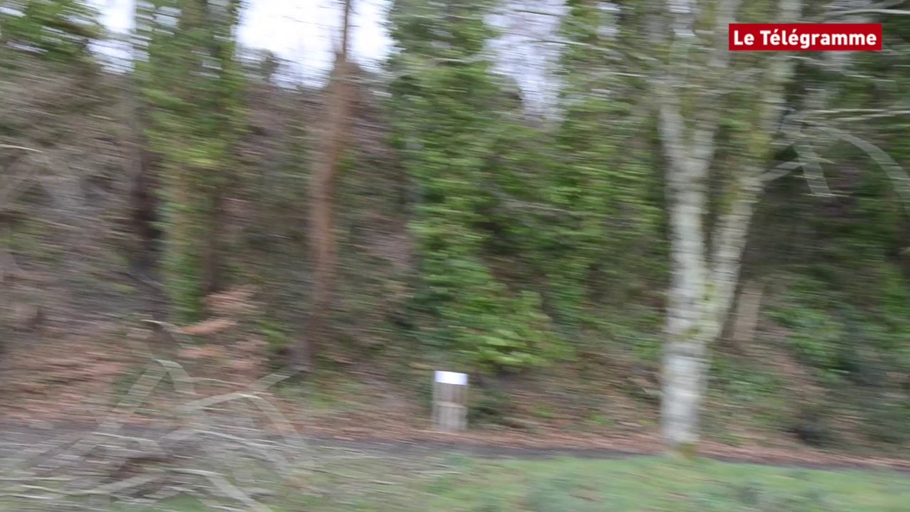 Tempête Zeus. Le Relecq-Kerhuon : on évacue les arbres au bord de la voie ferrée