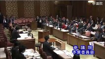 参院予算委 辰巳コータロー(共産)質疑 20170306