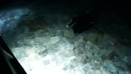 Jannick Andersen filmer rokke på Maldiverne