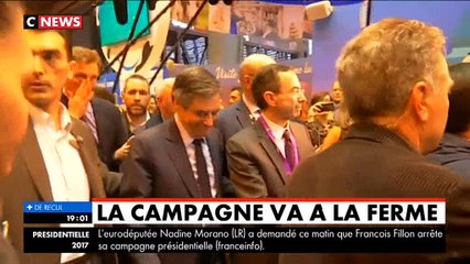 Les premiers pas de Virginie Chomicki sur CNEWS