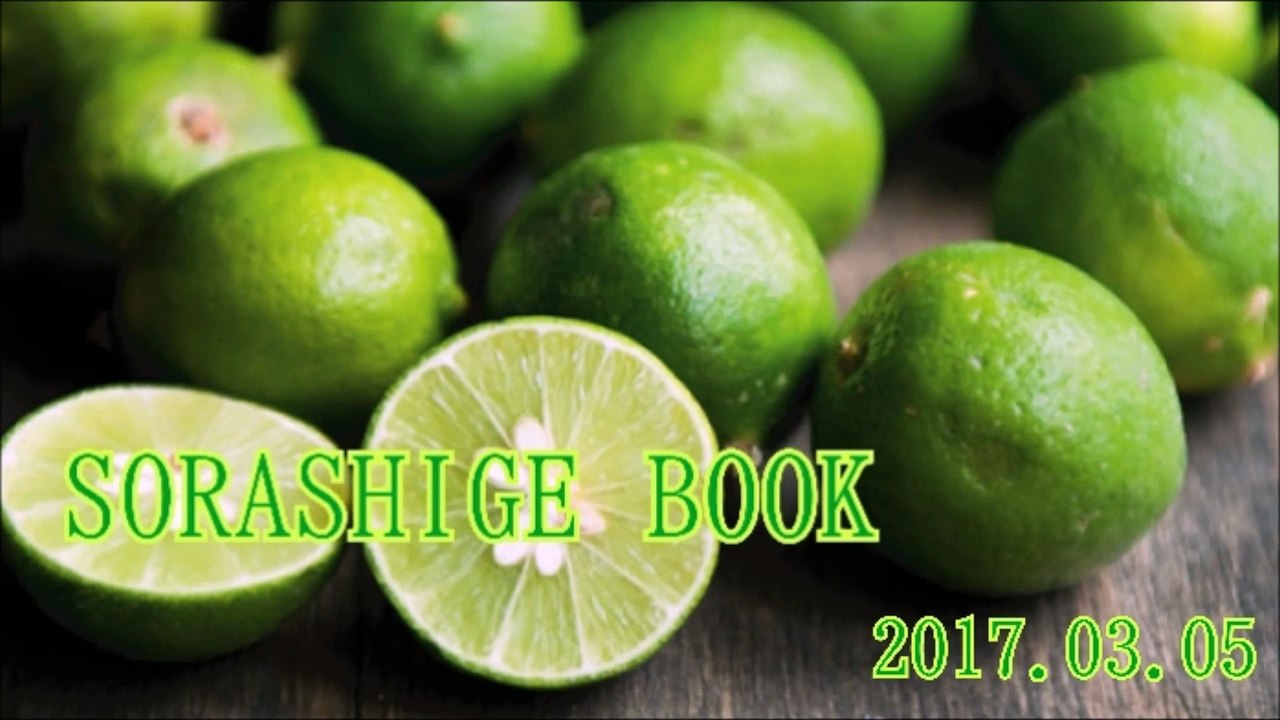 SORASHIGE BOOK#20170305