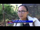 40 Elang Hasil Sitaan Sedang Dalam Masa Karantina - NET12