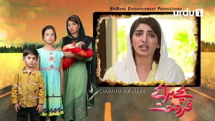 Bachay Baraye Farokht Episode 31 Uedu1