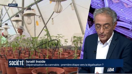 Israël : vers une légalisation du cannabis?