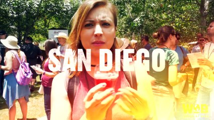 Vous pouvez être payés à voyager et boire de la bière cet été si ça vous dit