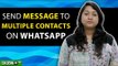 WhatsApp: Send Message to Multiple Contacts on WhatsApp - GIZBOT