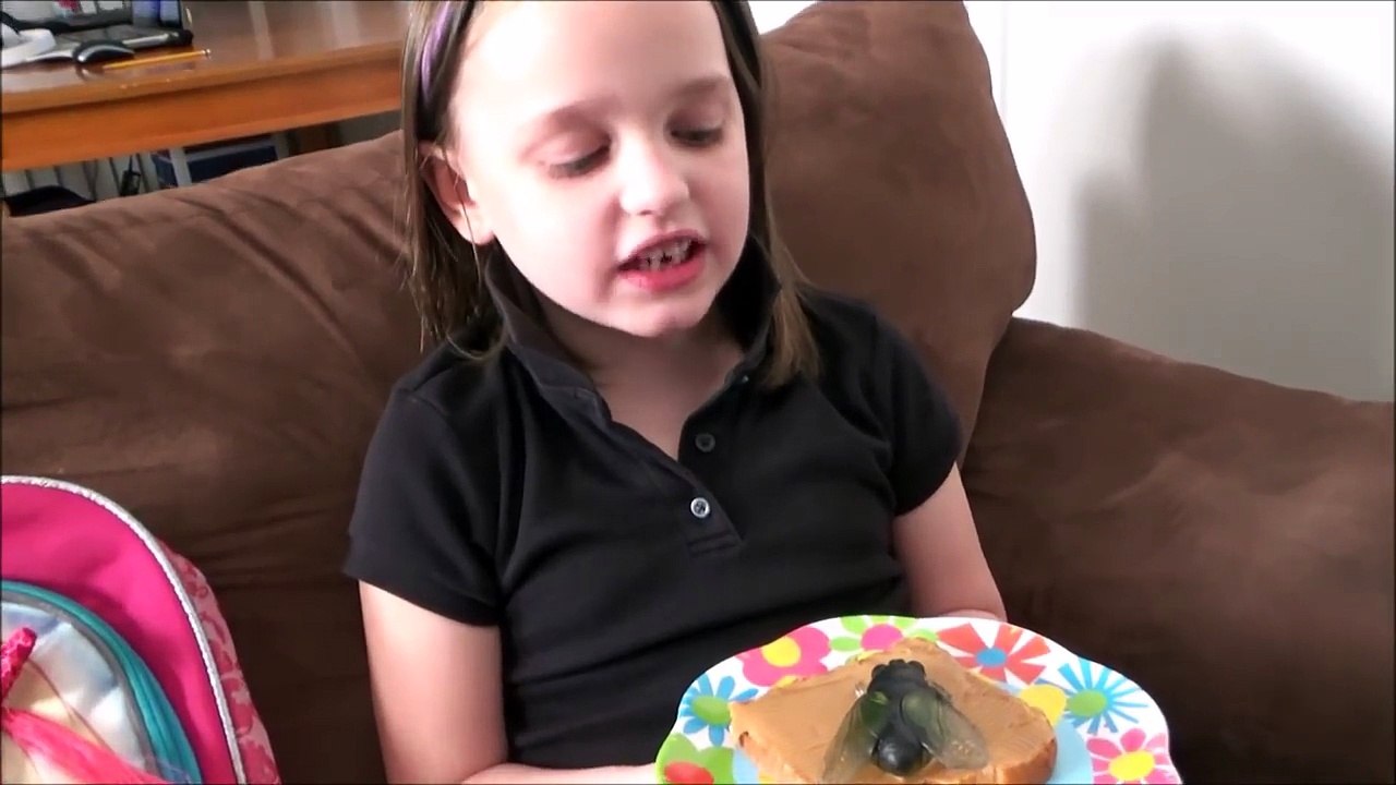 Giant Flies Invade House Spatula Girl Attacks 'Toy Freaks'