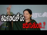 Sasikala is in hurry to rule Tamil Nadu : Doubt In Jayalalitha's Treatment - Oneindia Telugu