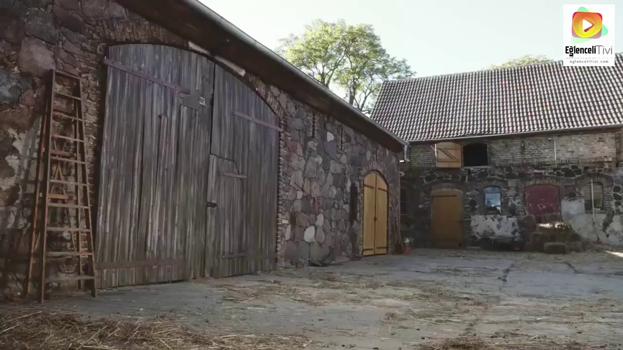 Driftçi dede