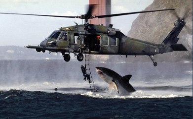 10 Fake Images That Fooled The World