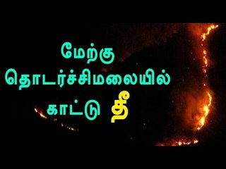 Download Video: Fire Accident in Theni Hill Station- Oneindia Tamil