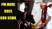 UP Elections 2017 : PM Modi offers prayers at Gadhwaghat Ashram : Watch video | Oneindia News