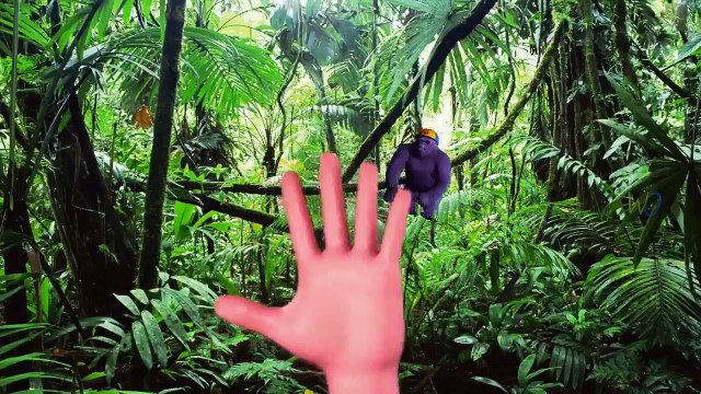 Kids Learning Domestic Animals Names | Learn Wild Animals Sounds | 3D Finger Family Nurser