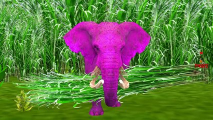 Colors Godzilla Cheetah Dinosaur Finger Family | Elephant Finger Family Nursery Rhymes Col