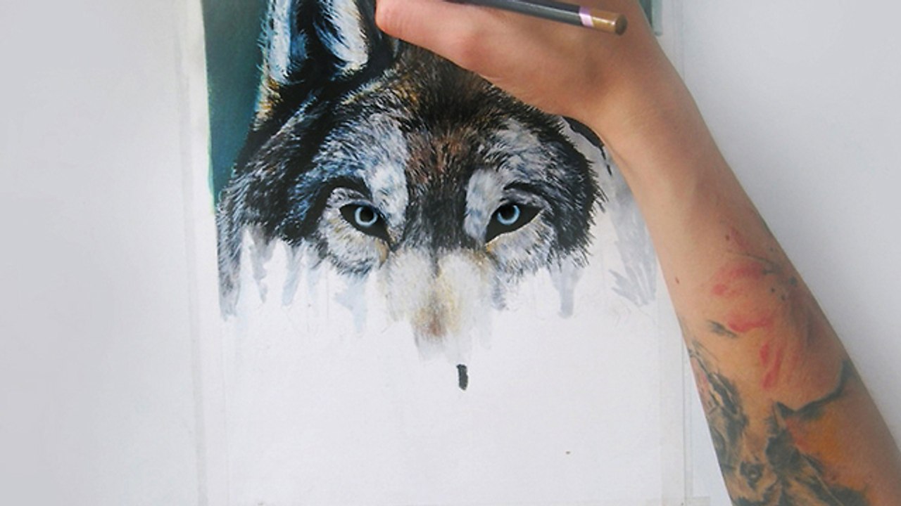 Incredible wolf time lapse drawing