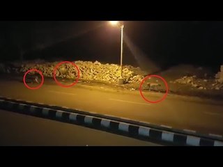 Gujarat Lions roam on Junagadh roads at night, watch video | वनइंडिया हिन्दी