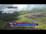 Kebakaran Lahan Mineral di Sumatera Selatan - NET16