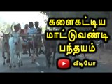 Rekla Race Conducted in Sivagangai - Oneindia Tamil